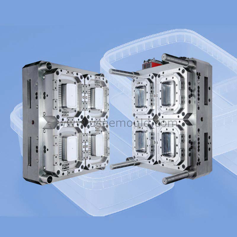 Anti-theft Clasp Packing Container Mould
